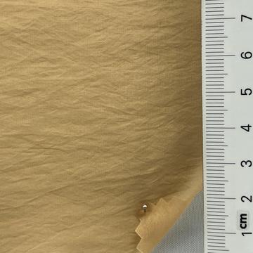29 Camel