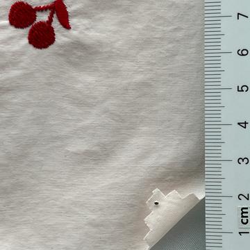 Nylon Embroidery Plain Weave