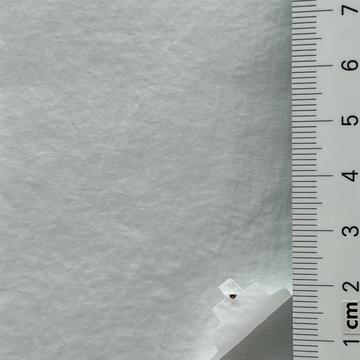12 White