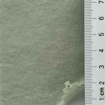 19 Pale Green