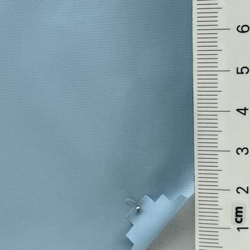 19 Pale Blue