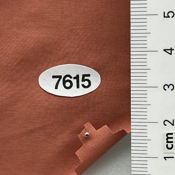 7615 Pale Orange