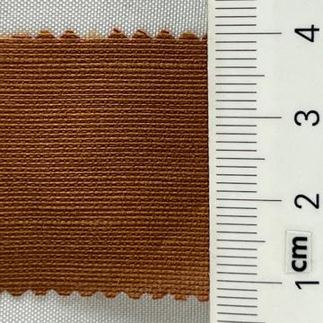 21 Camel