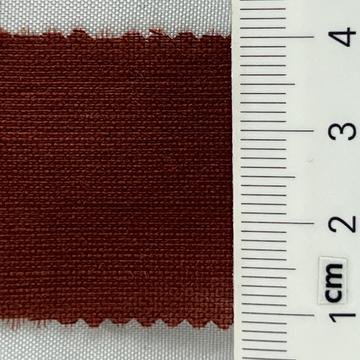24 Camel