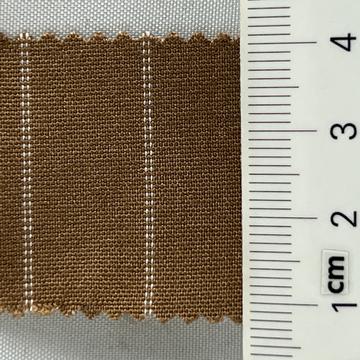 25 Camel