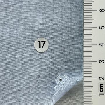 17 Pale Blue