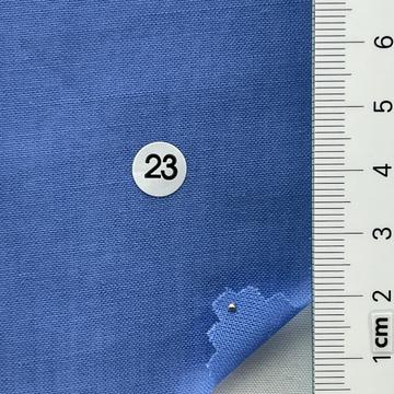 21 Pale Blue