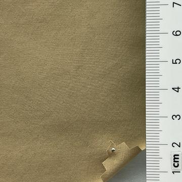 19 Camel
