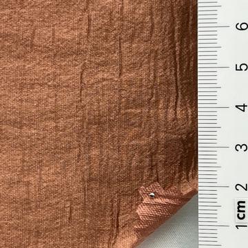 11 Camel