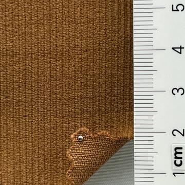 31 Camel