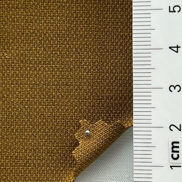 21 Camel