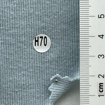 H70 Pale Blue