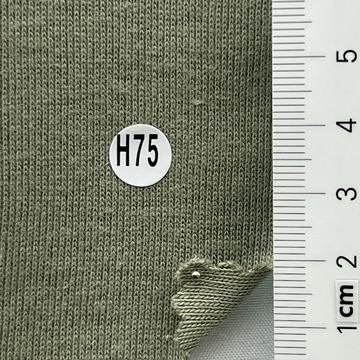 H75 Pale Green