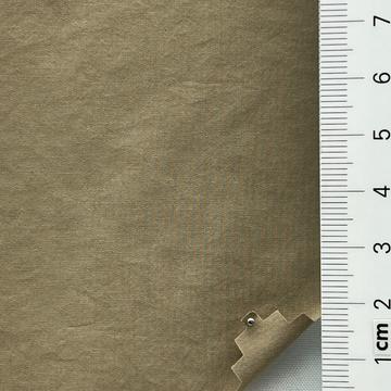 22 Camel