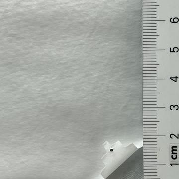 21 White