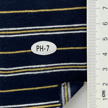 PH-7 Navy