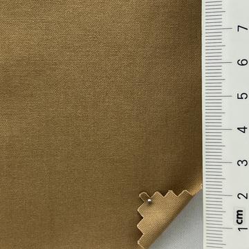 19 Camel