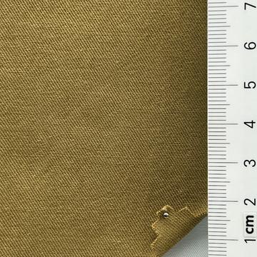 13 Camel