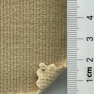 6 Camel