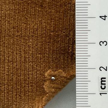 31 Camel
