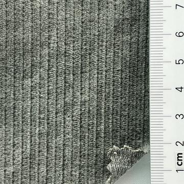 19 Gray