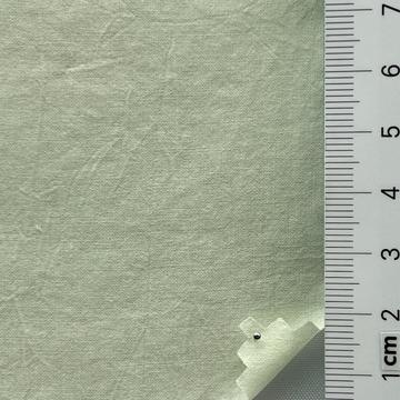 13 Pale Green