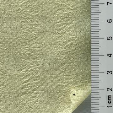 Polyester Plain Weave