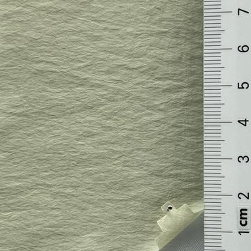 25 Pale Green