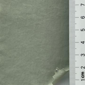 14 Pale Green