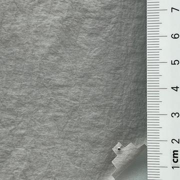21 Gray