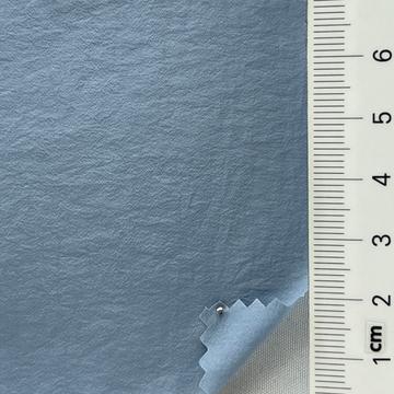 21 Pale Blue