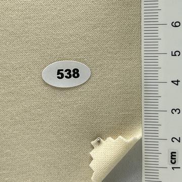 538 Ivory