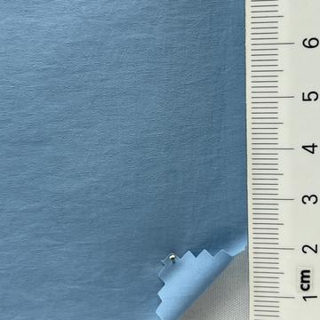 41 Pale Blue