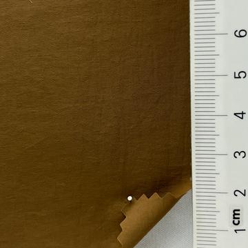 49 Camel