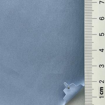 21 Pale Blue
