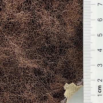 4 Brown