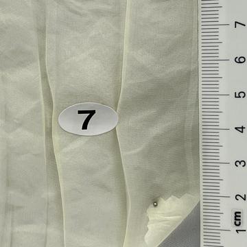 7 Ivory