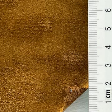 15 Camel