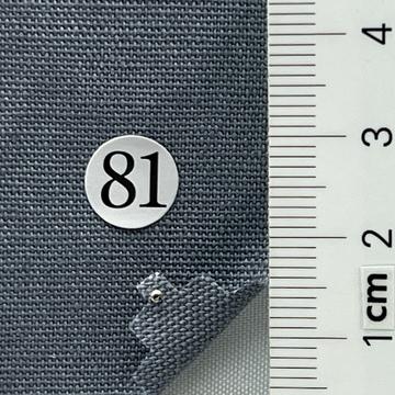 81 Pale Blue