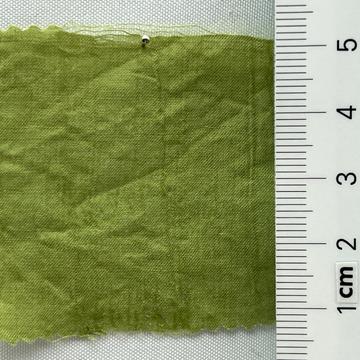 6 Pale Green