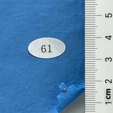 99999 Pale Blue