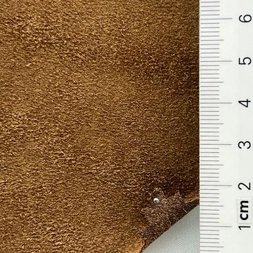 21 Camel
