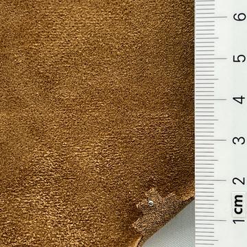 22 Camel