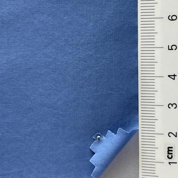 66 Pale Blue
