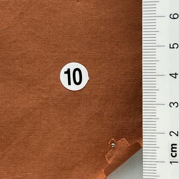 10 Brick