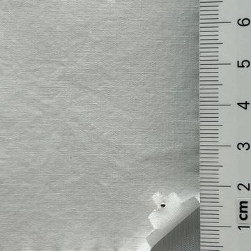 13 White