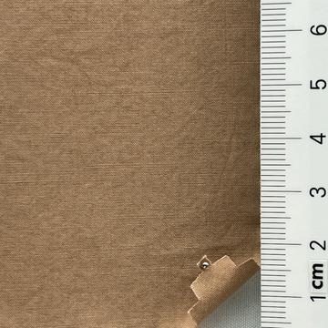 66 Beige