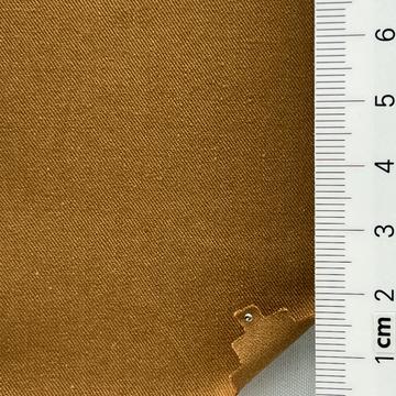 19 Camel