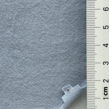 51 Pale Blue