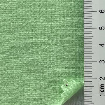 19 Pale Green